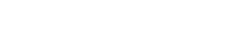 WP-logo blanco
