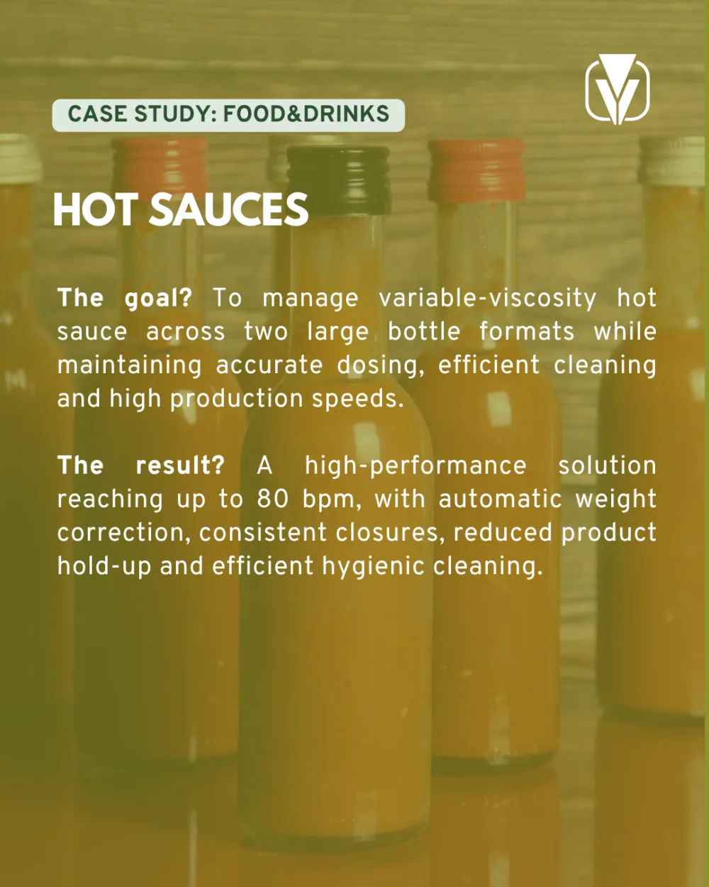 Case Study Website Cover 13